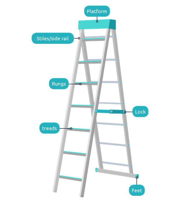 LADDER